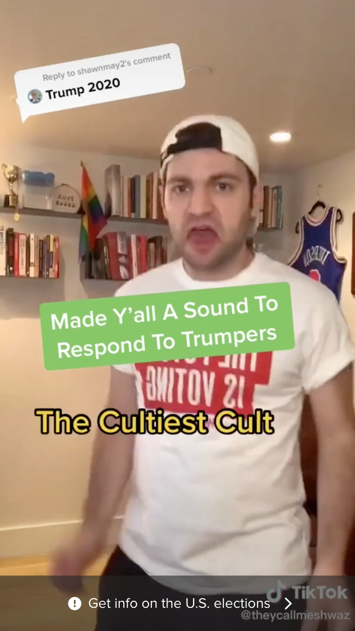 tiktok election