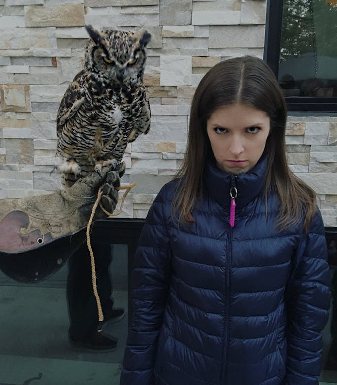 anna kendrick owl