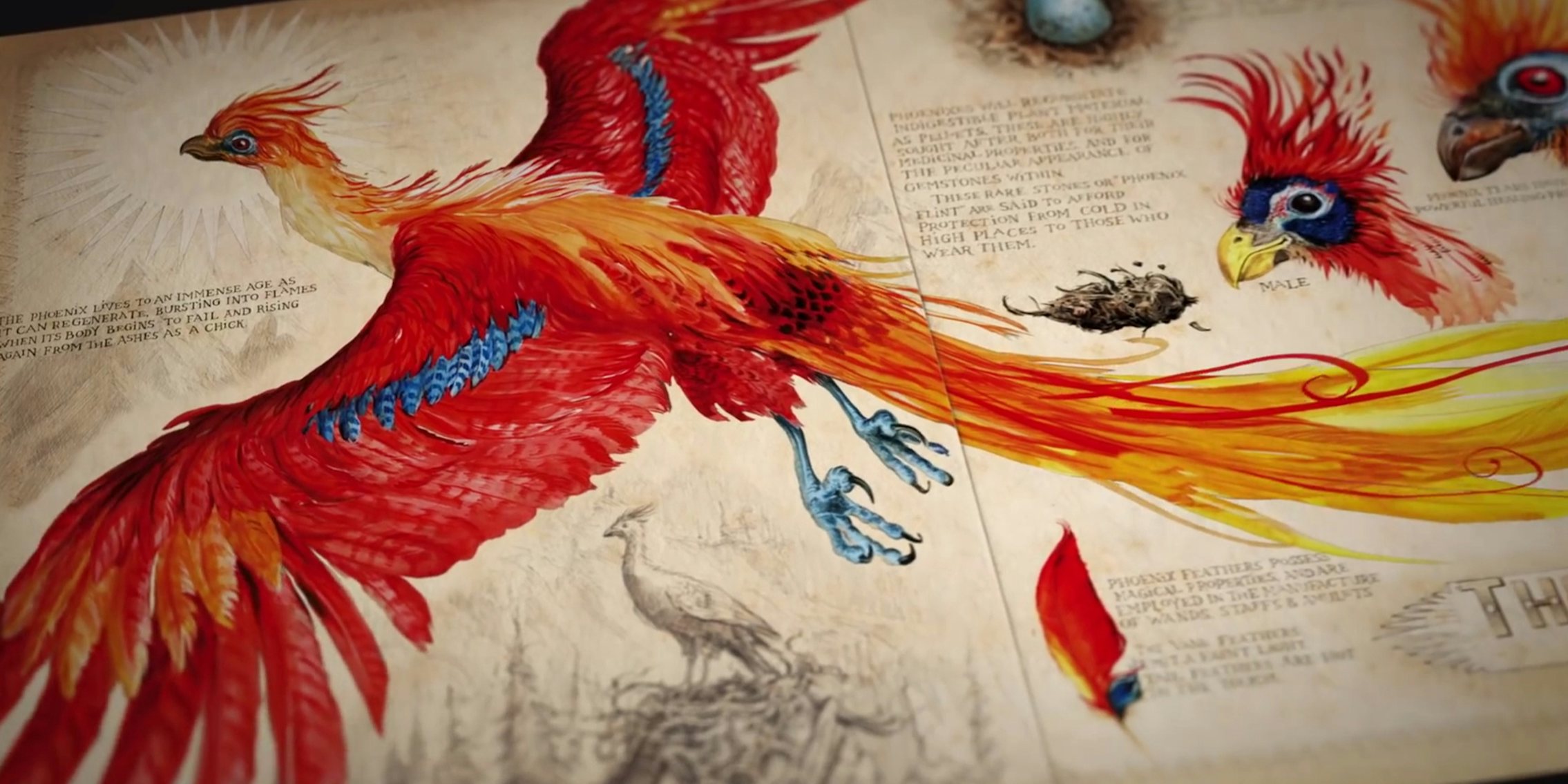 Stunning new illustrations of the Harry Potter universe have arrived on  Pottermore