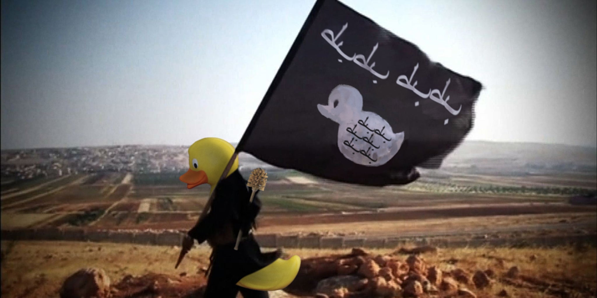 Homepage article image