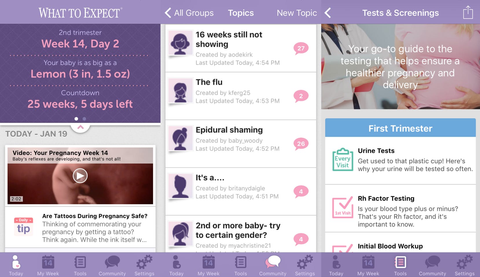 Pregnancy tracking app: What to Expect Pregnancy Tracker 