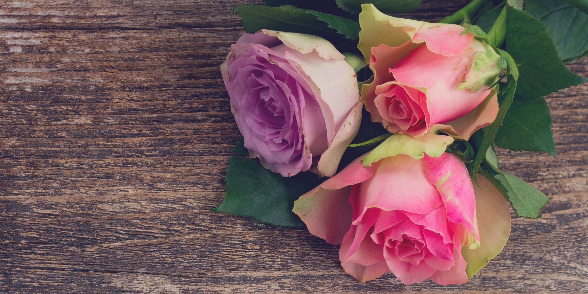 Homepage article image