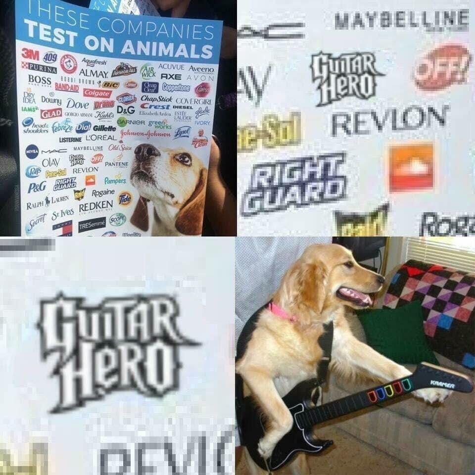 guitar hero dog testing meme