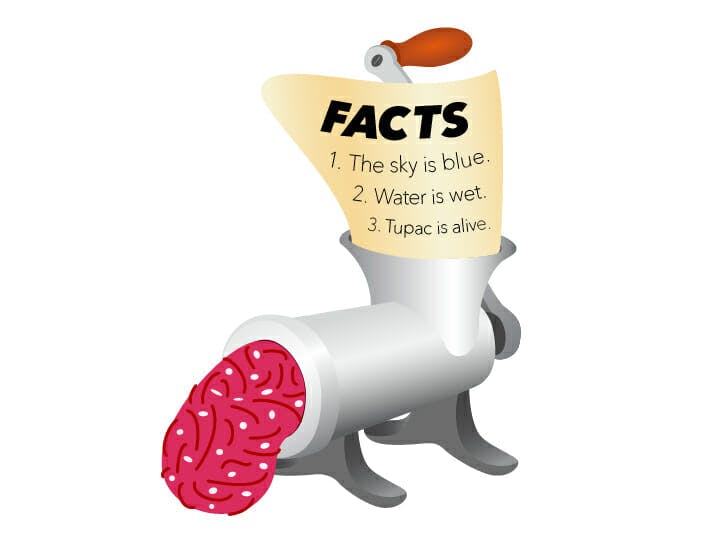 fact meat grinder