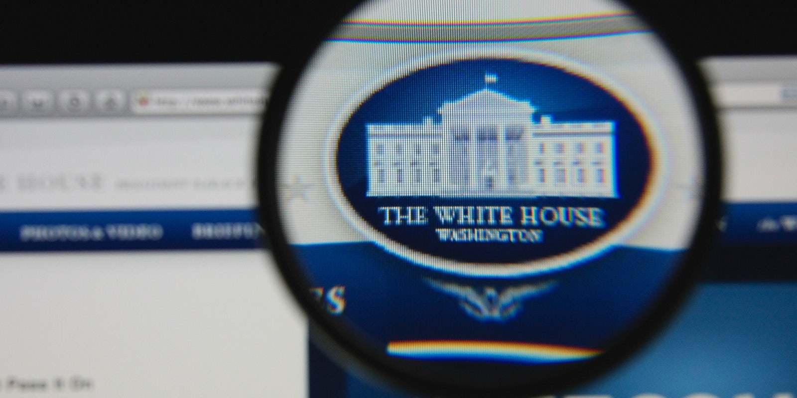 White House Website with Magnifying Glass