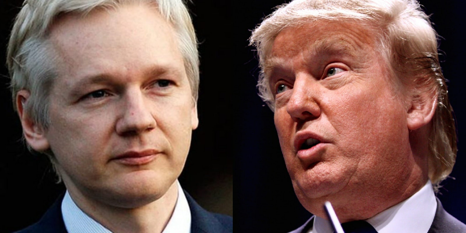 Julian Assange and Donald Trump
