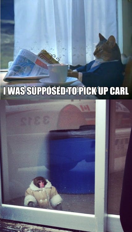 The IKEA monkey meme is now half a decade old