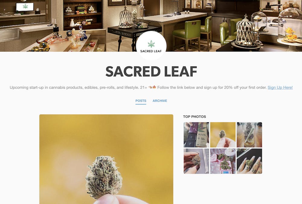 tumblr weed : Sacred Leaf