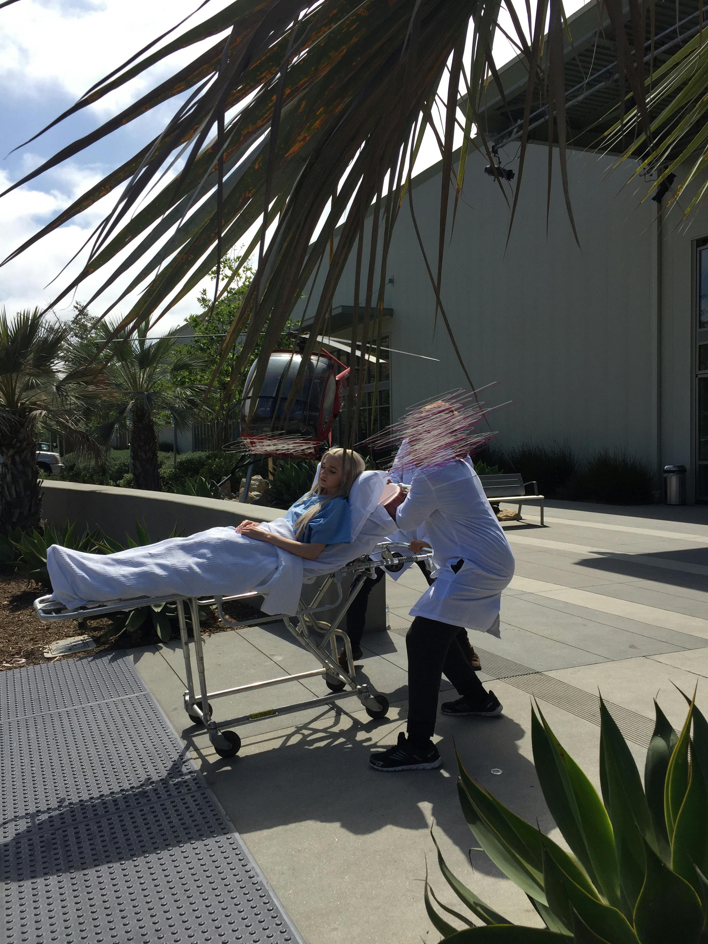 poppy being wheeled into hospital