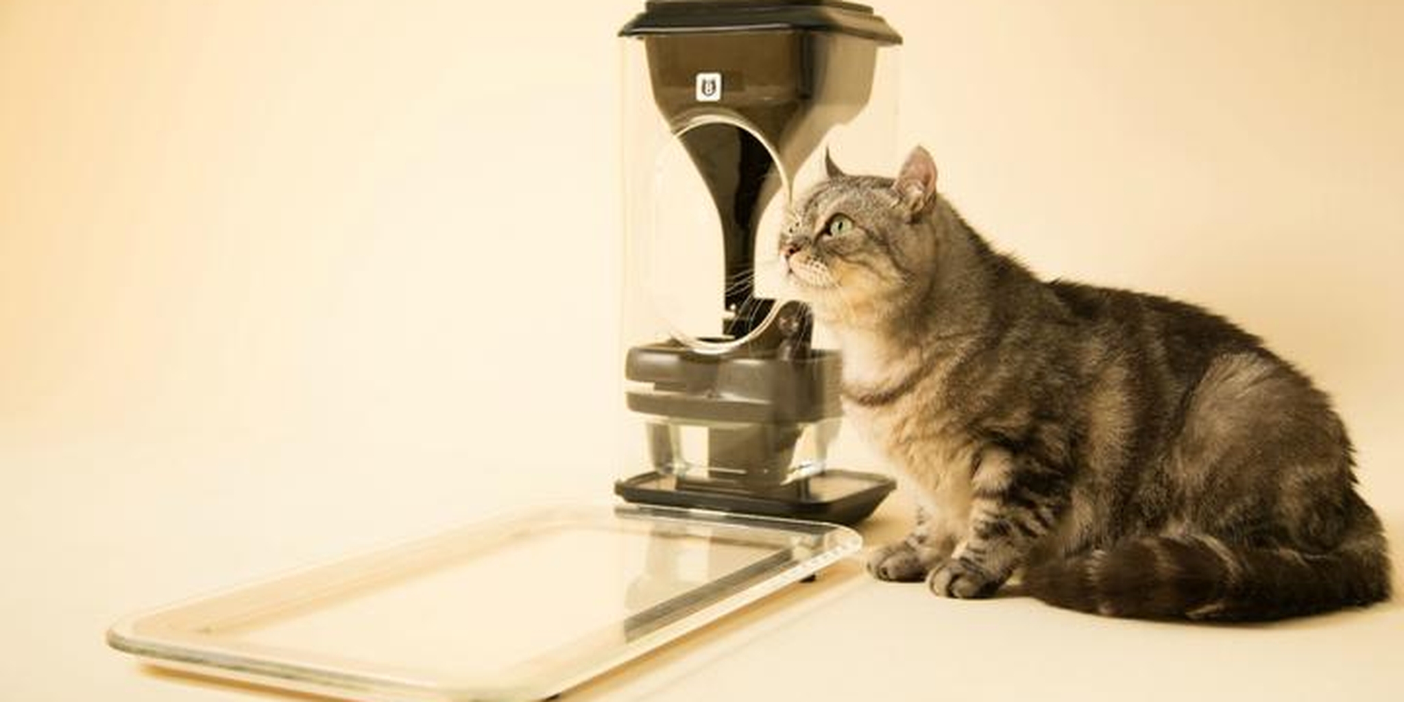 Bistro cat feeder hotsell