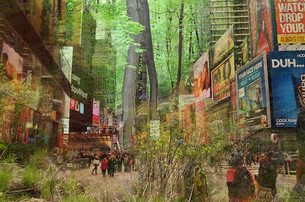 times square urban forest