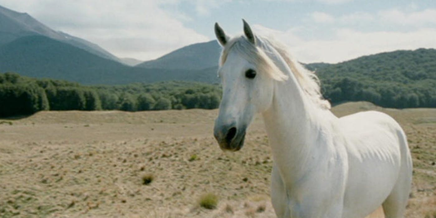 'Lord of the Rings' makes @Horse_ebooks fun again | The Daily Dot