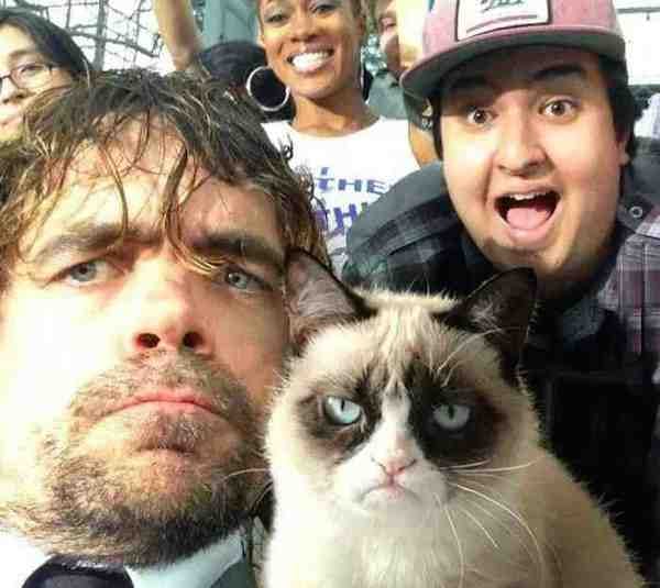 peter dinklage grumpy cat