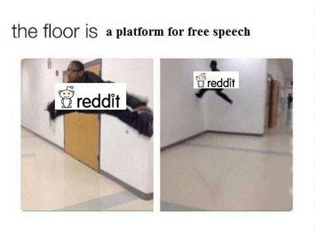 the floor is lava mama : reddit meme the floor is free speech