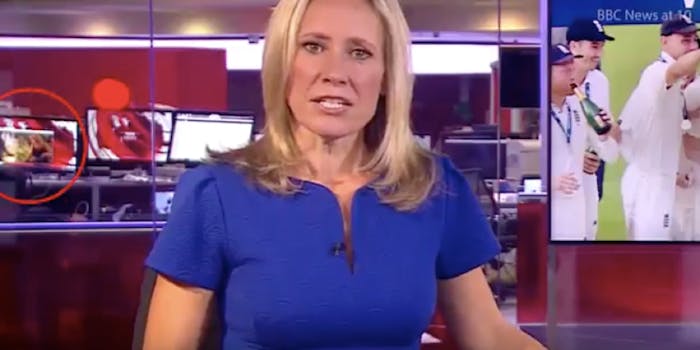 porn in background of bbc