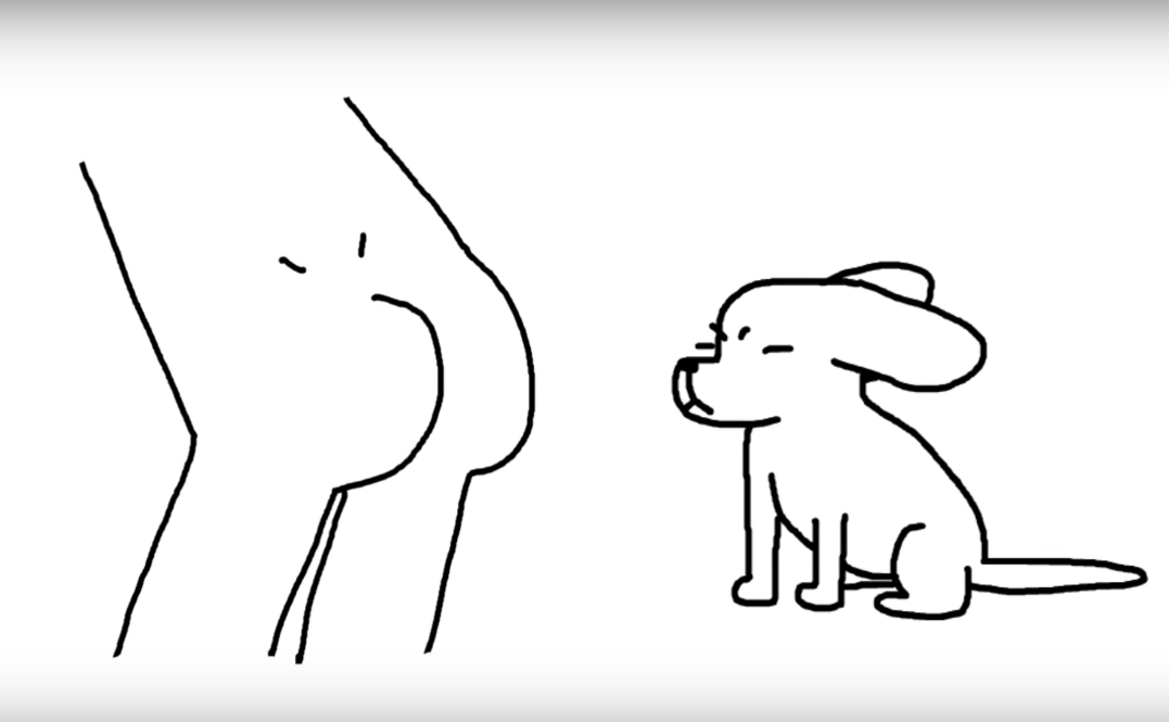 Farting on a dog