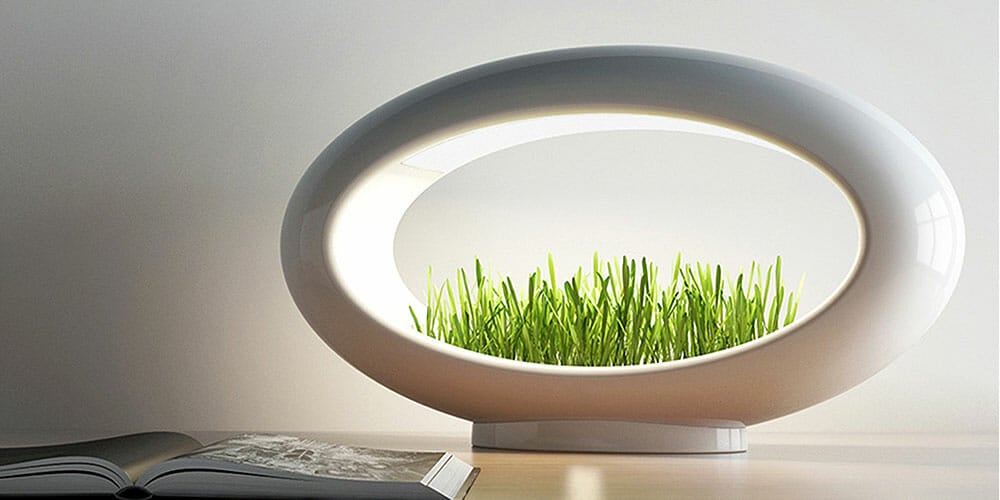grasslamp