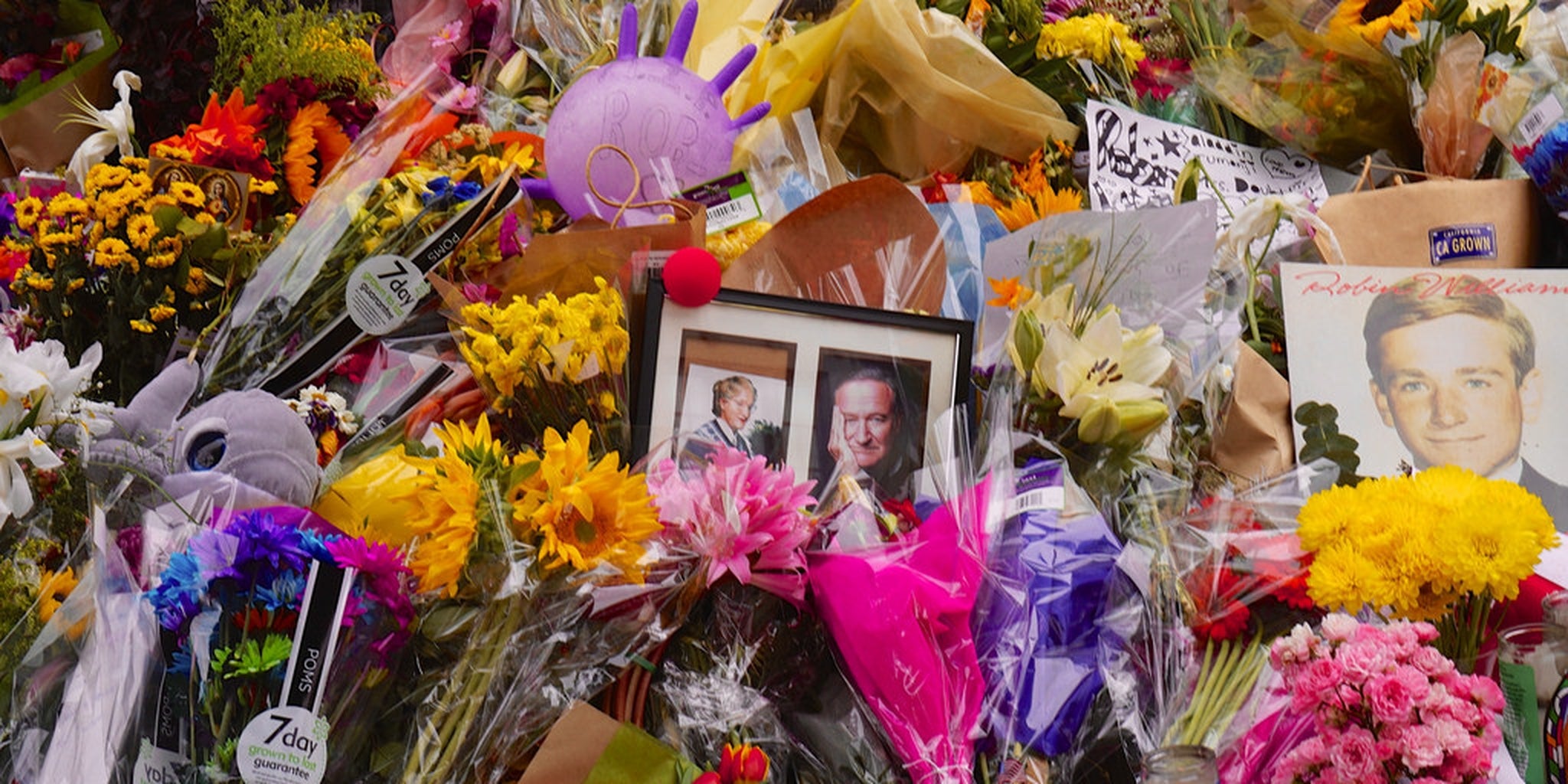 Homepage article image