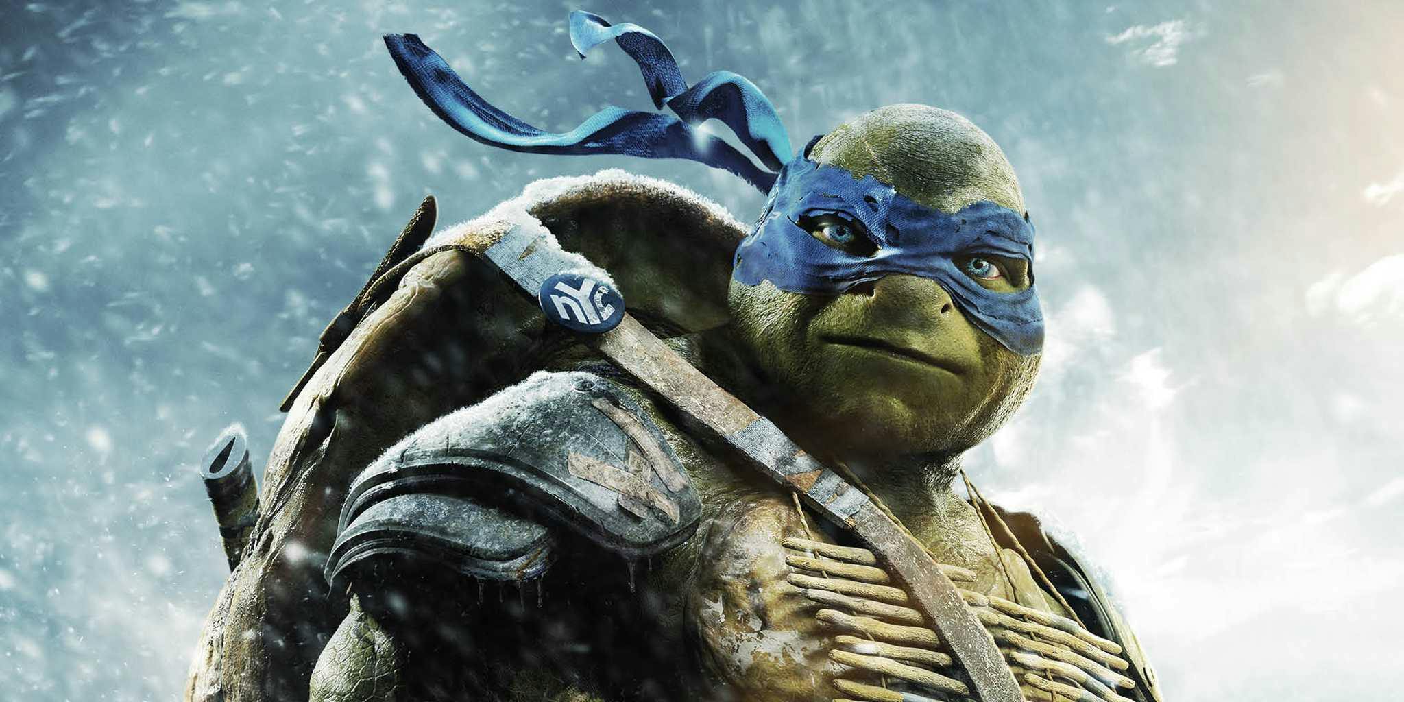 Fans Vote for New Teenage Mutant Ninja Turtles Character Poster