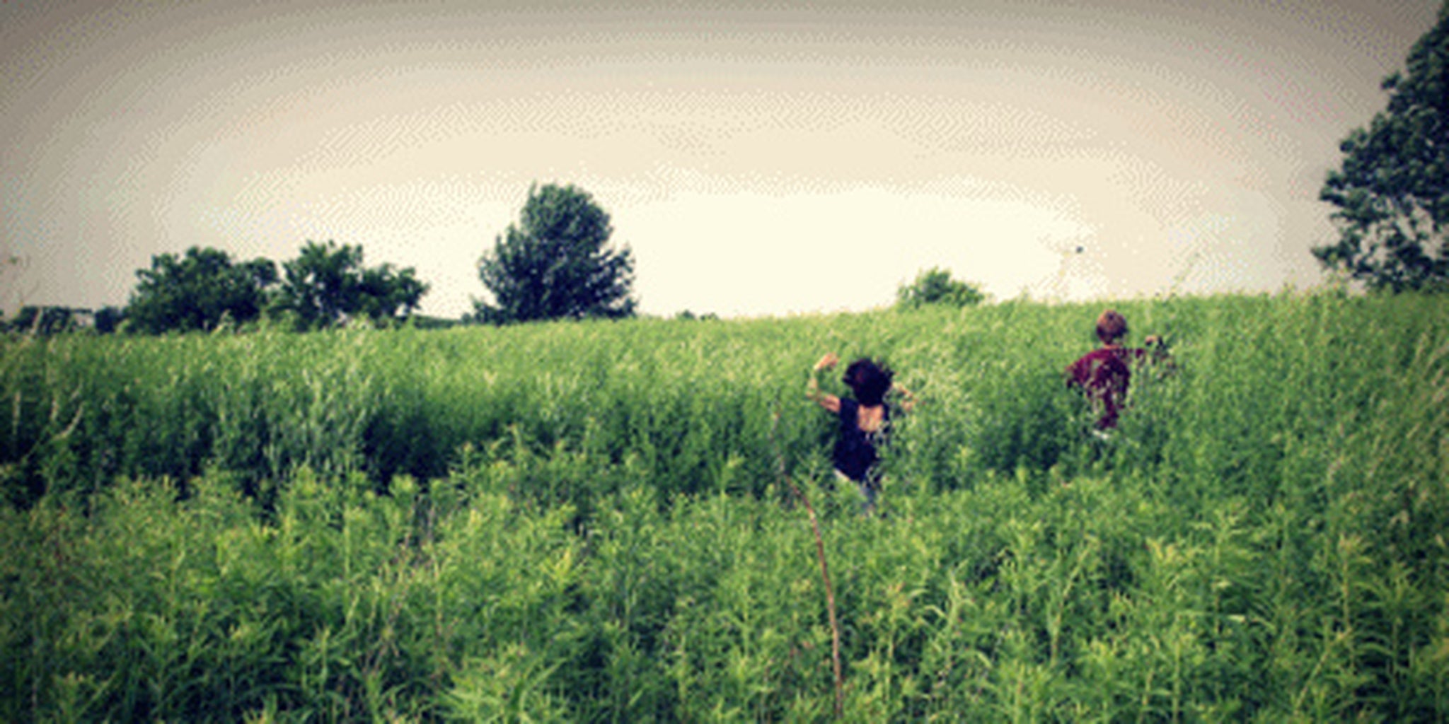 Homepage article image