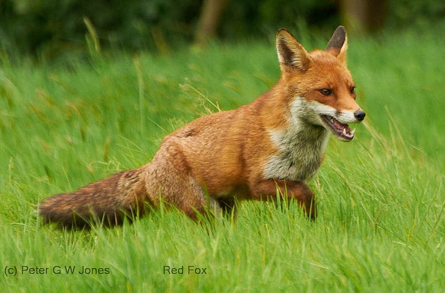 Homepage article image