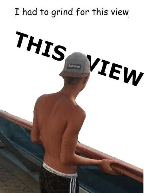 grind for the words 'this view' meme