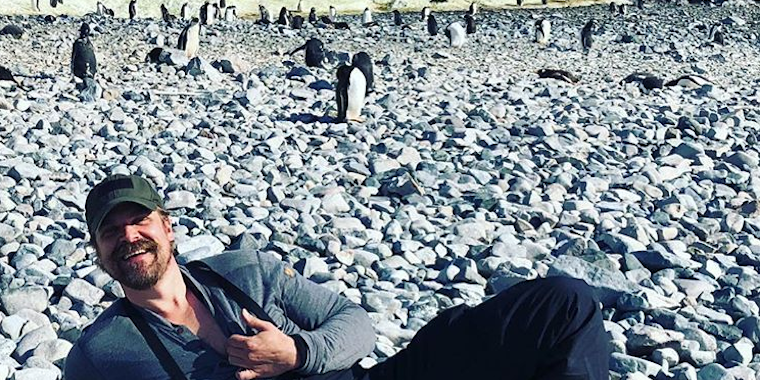 Stranger Things’ David Harbour Danced With Penguins in Antarctica