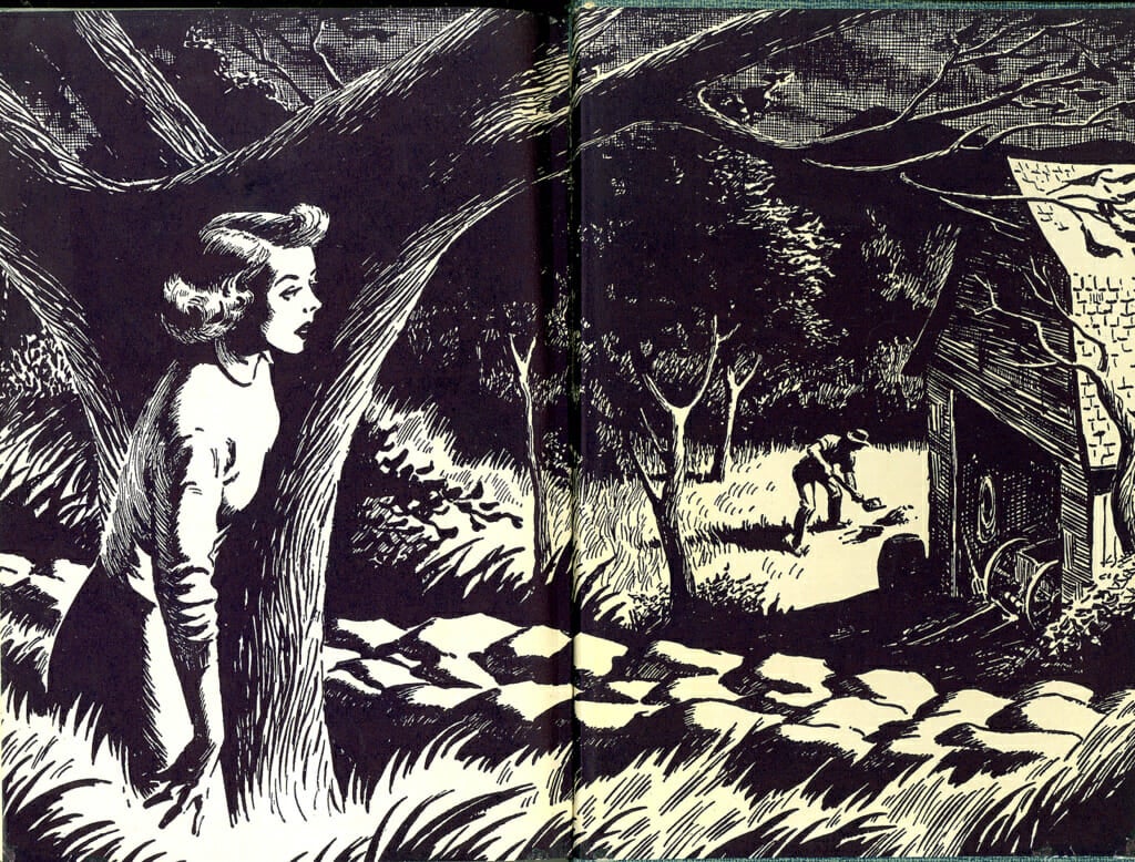 nancy drew facts