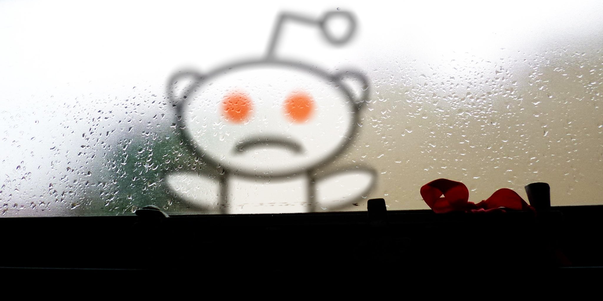 Homepage article image