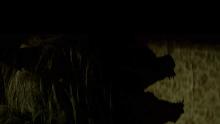 monster movies on netflix : Late Phases