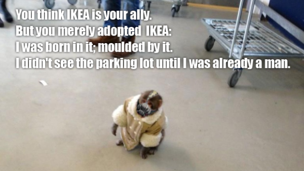 IKEA Monkey  Know Your Meme