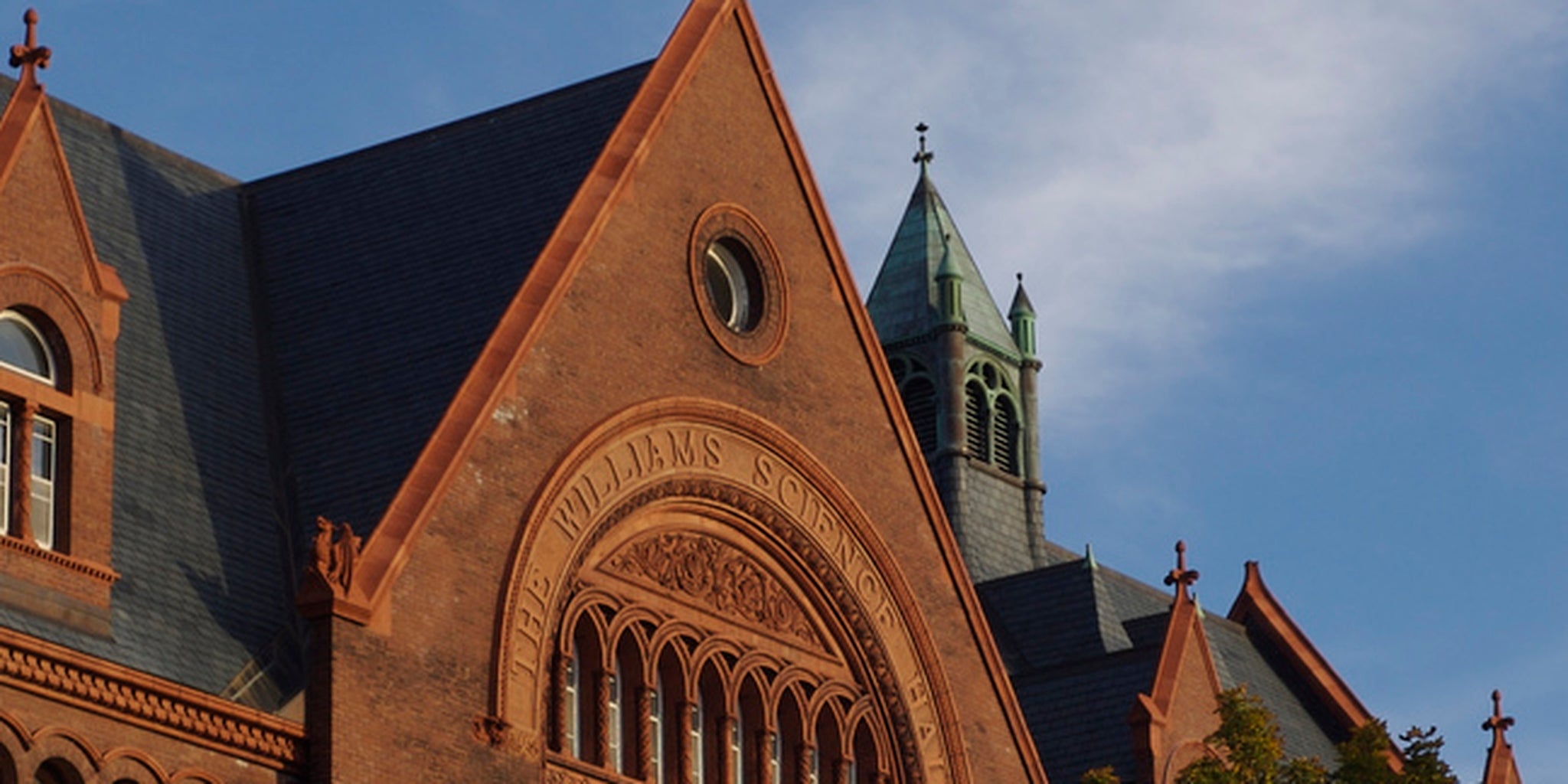 Homepage article image