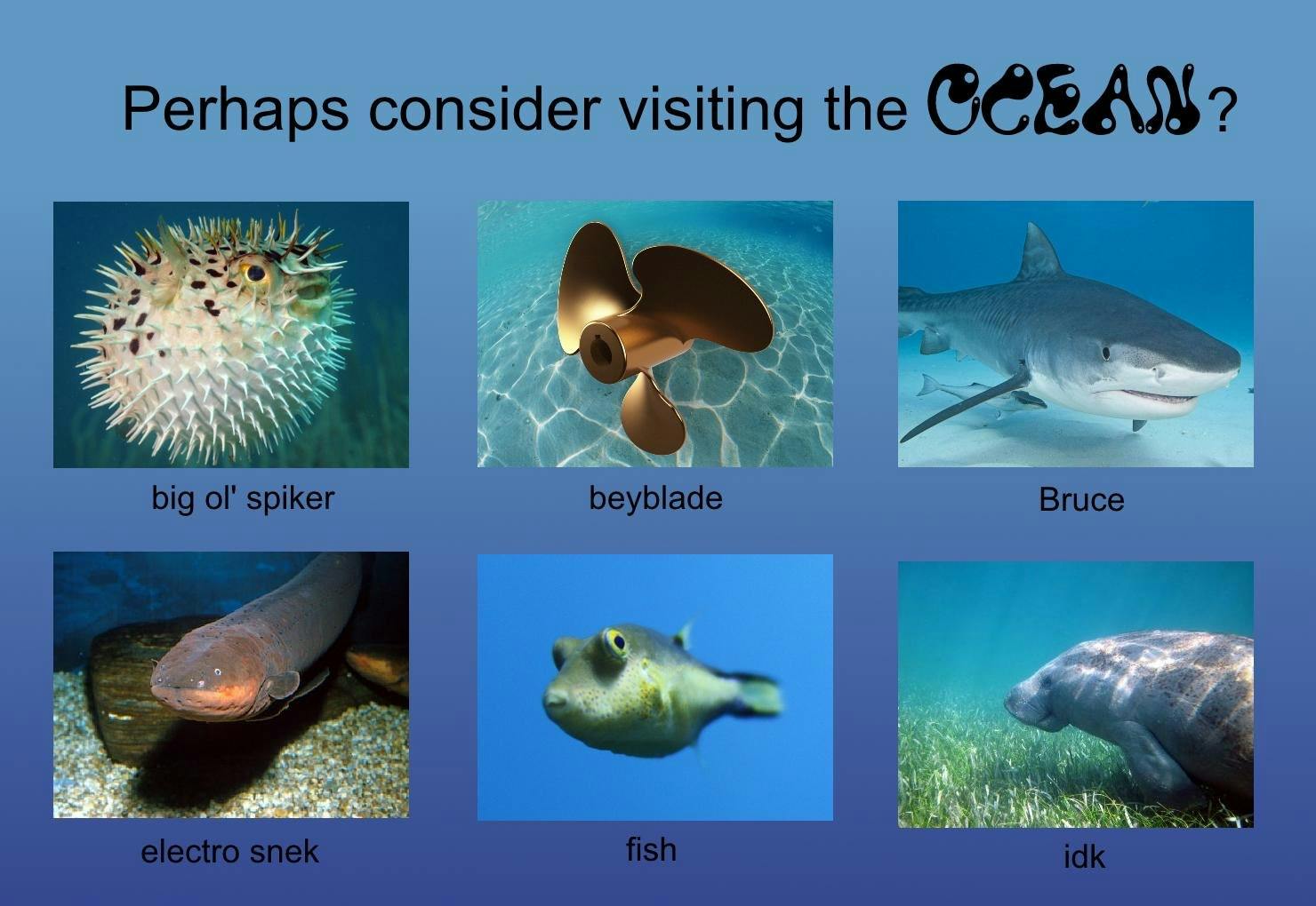 why not visit the ocean