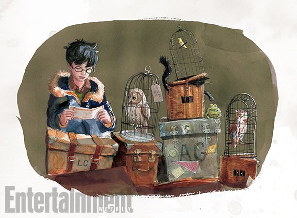 Pottermore Moment's Artwork (1,2)  Pottermore, Pottermore art, Harry  potter jim kay