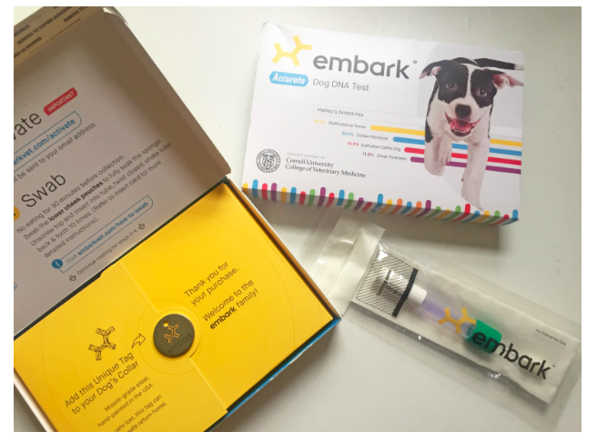 Embark kit best sale