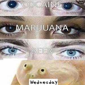 eyes meme with Wednesday my dudes frog