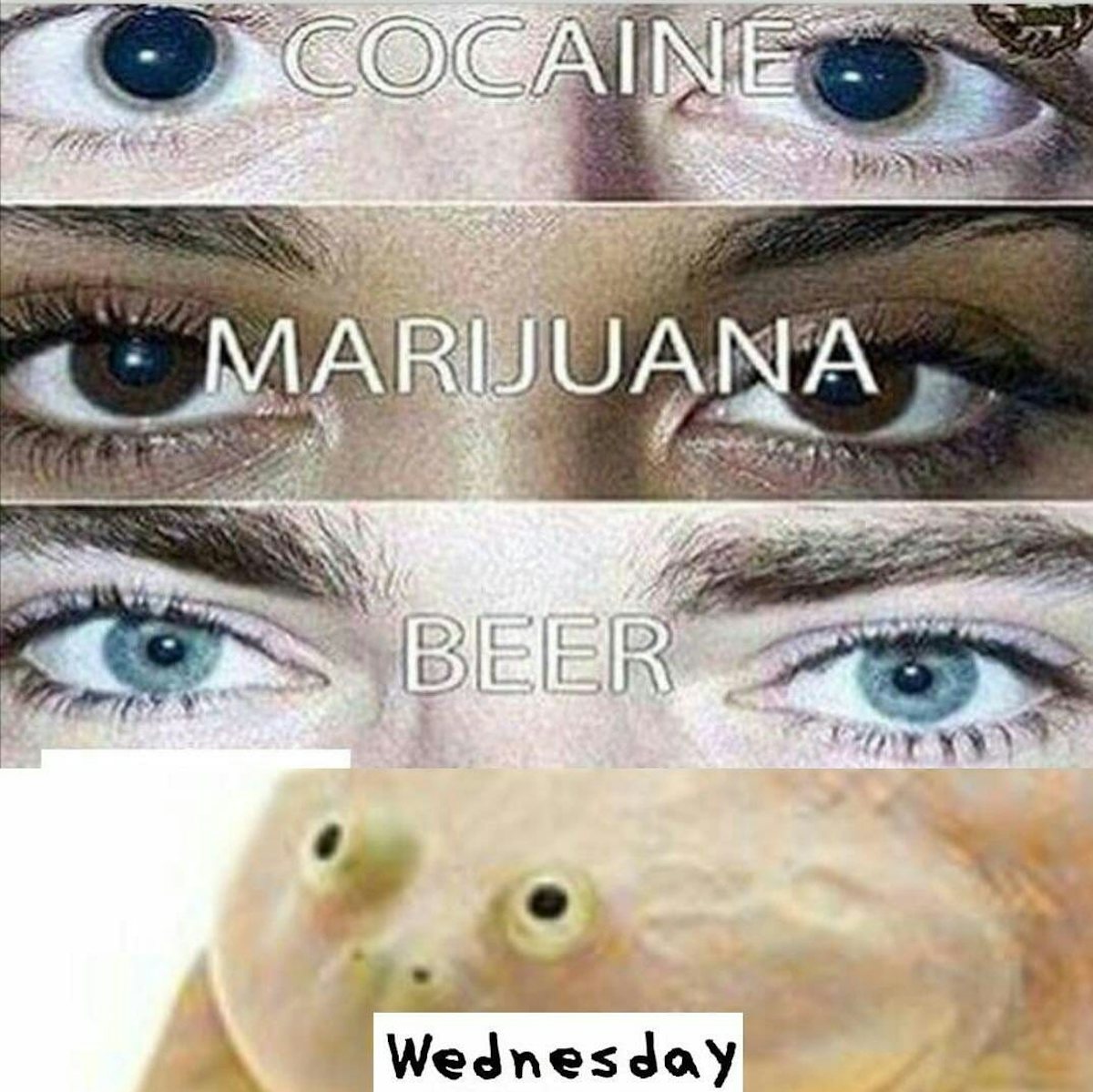 It is wednesday my dudes. Мем its Wednesday. Its Wednesday my dudes Мем. Глаза марихуана Мем. Мем глаза кокаин.