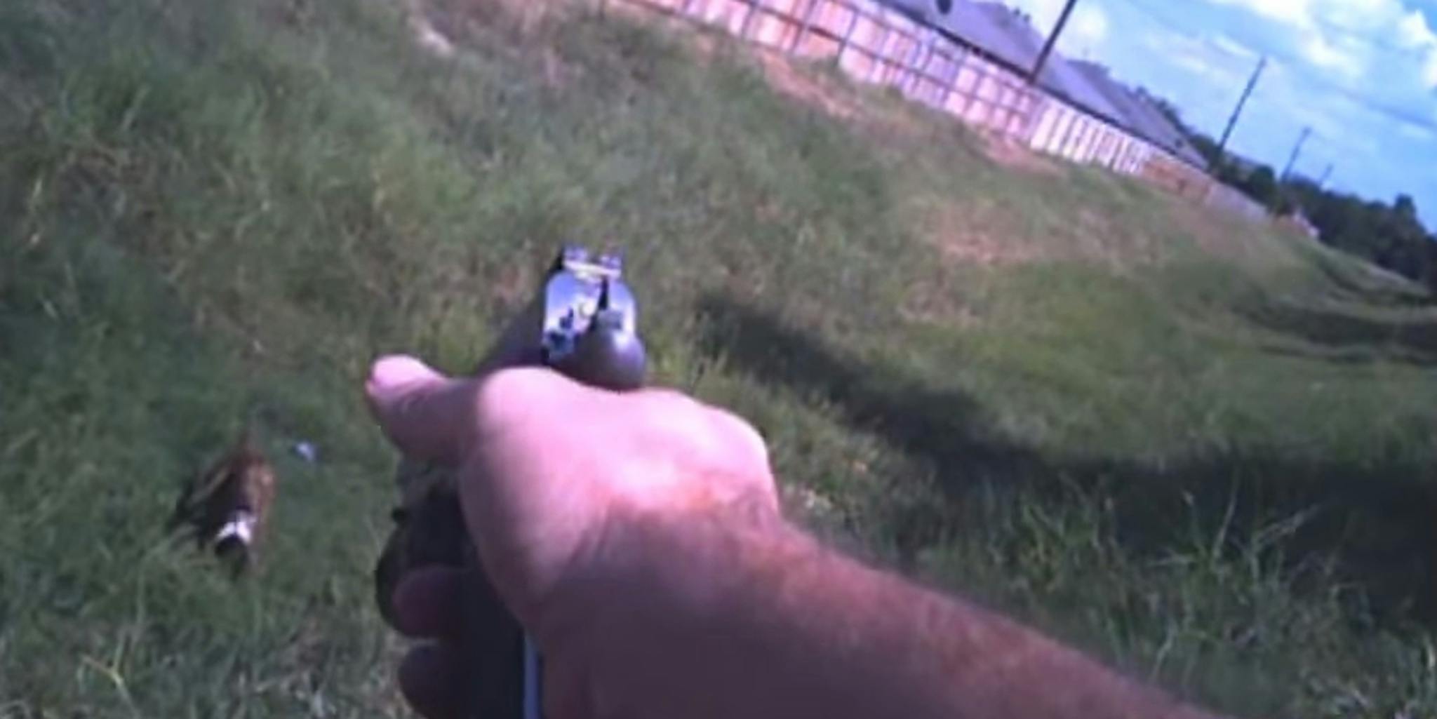 Disturbing video shows a Texas cop shoot a dog for no reason