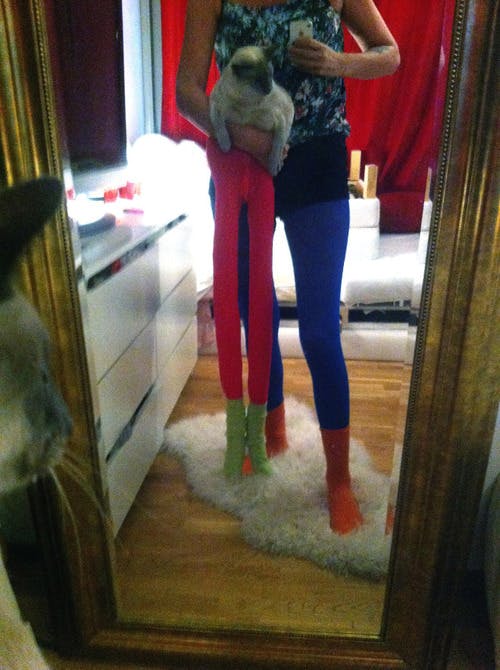 We can't stop laughing at these photos of cats wearing tights