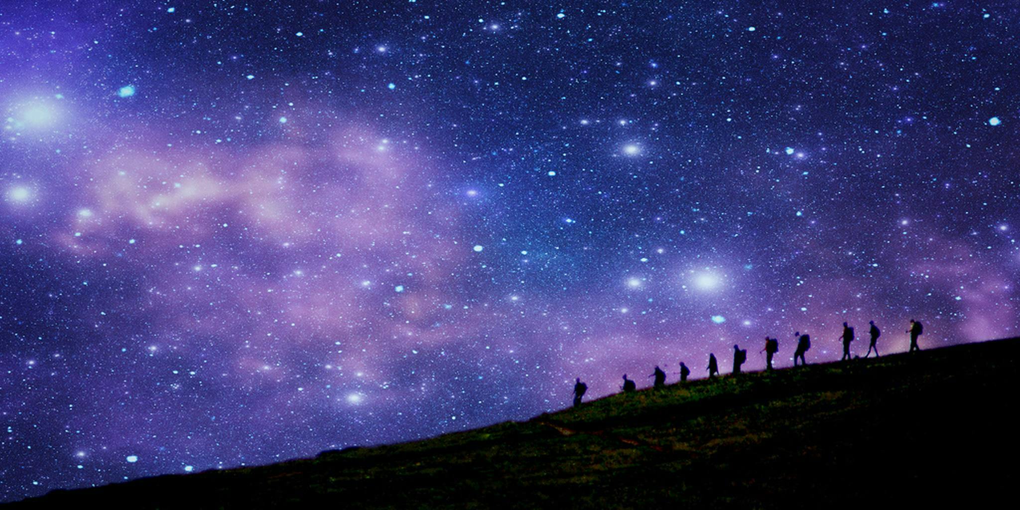 The stars above wiki