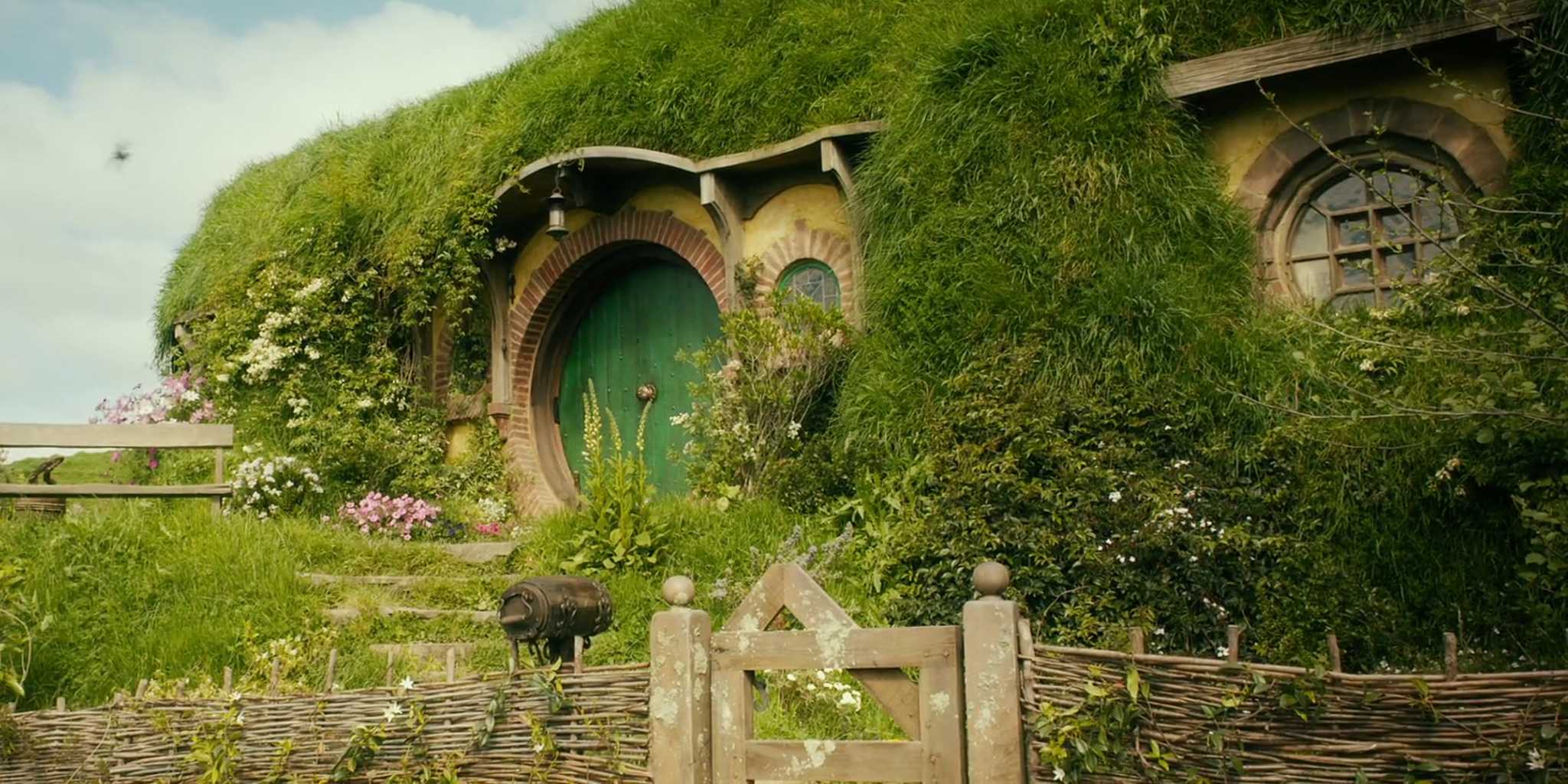 Homepage article image