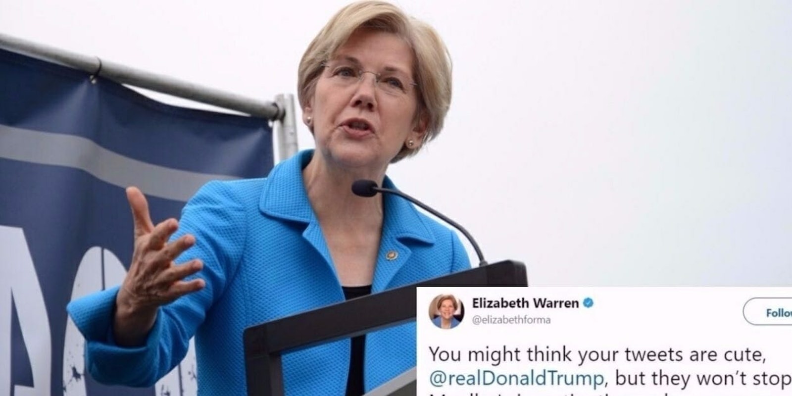 Elizabeth Warren Donald Trump Pocahontas