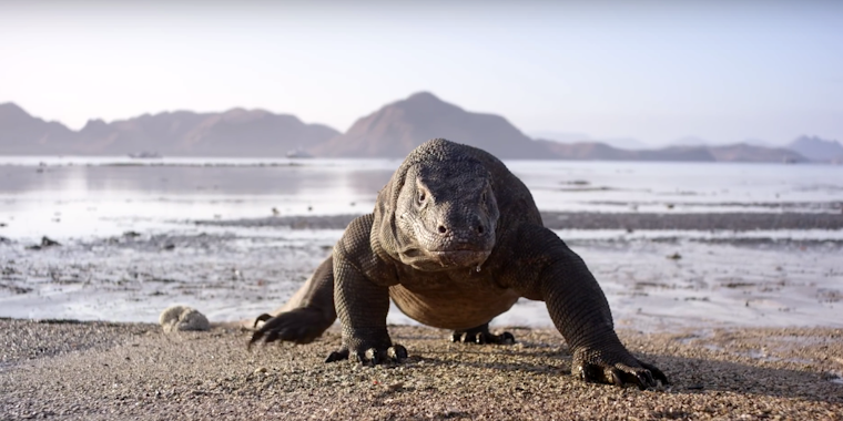 how to watch planet earth 2