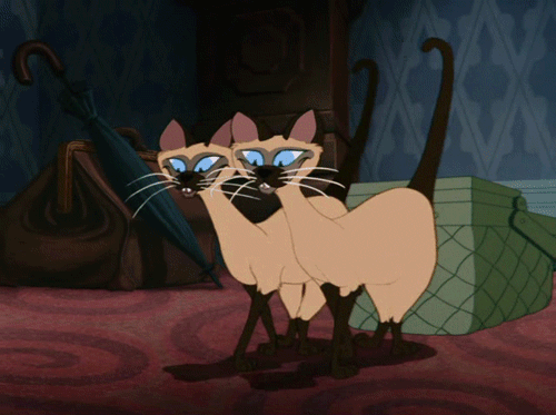 Gif of the notoriously racist Siamese "twin" cats from Lady and the Tramp, with slanted eyes, goofy grins, and two front teeth all on display.
