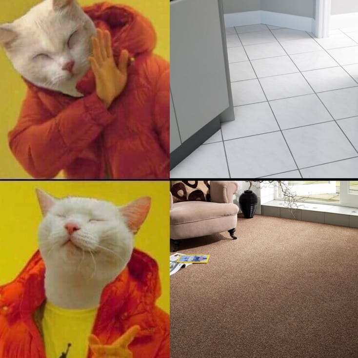no cat drake not on the carpet