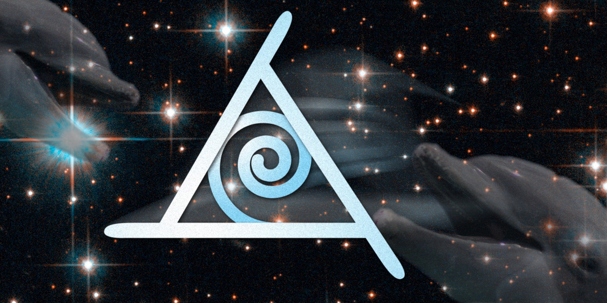 Homepage article image