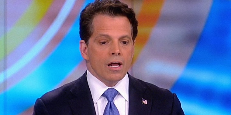 Anthony Scaramucci on The View