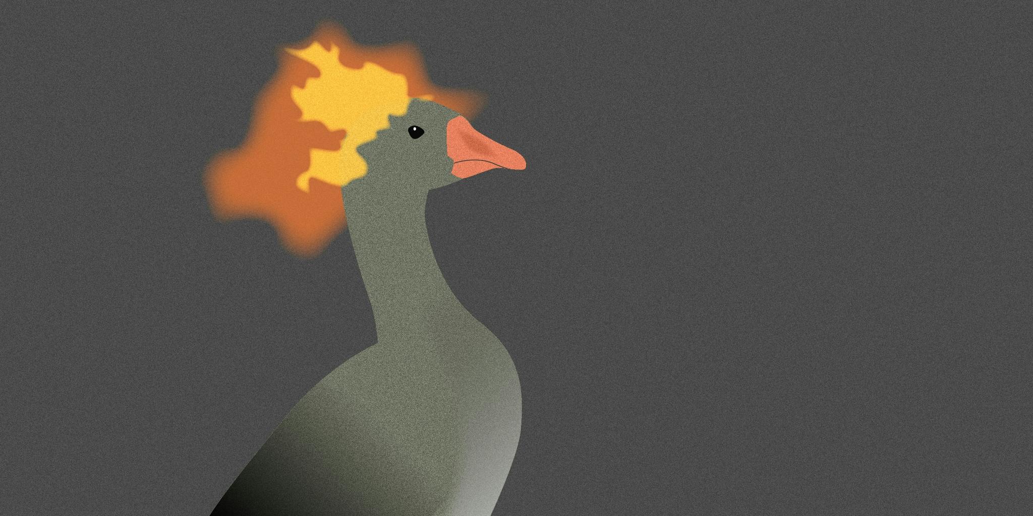 This Flaming Goose Meme Is So Lit That Facebook Is Actually Censoring It The Daily Dot