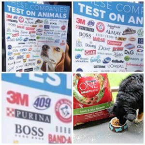 dog tests purina dog food animal testing meme
