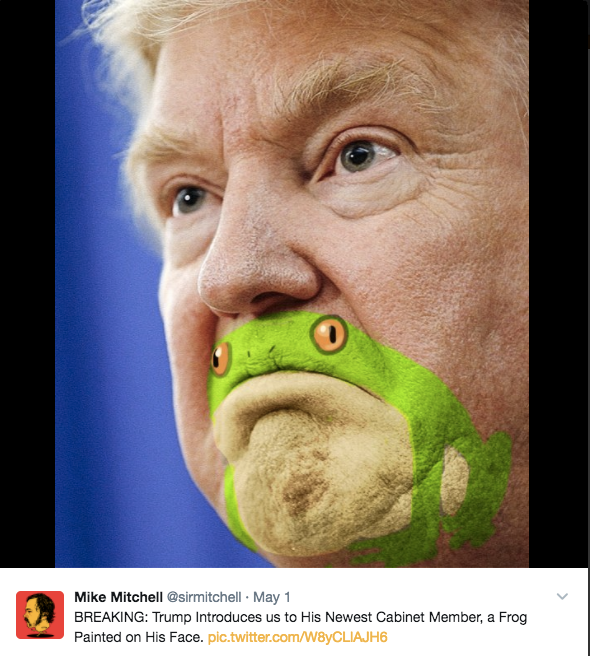 Trump frog meme